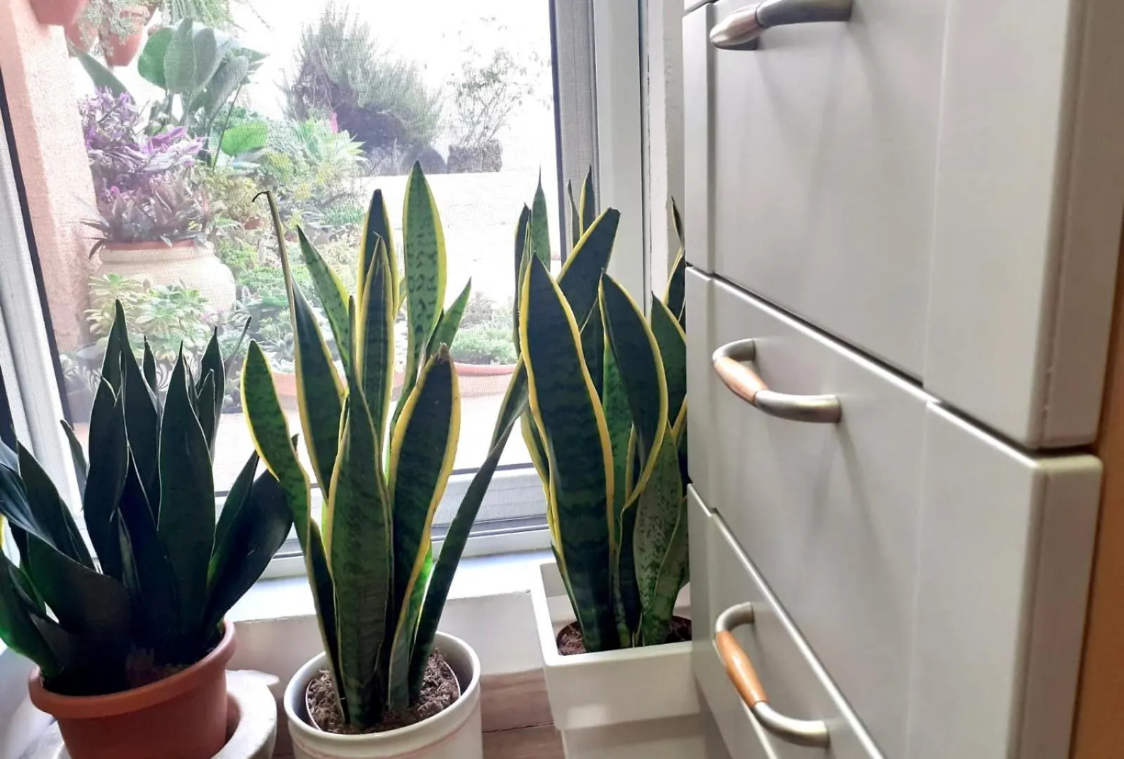Ferienwohnung Sardegna Del Nord - Bellissima Casa Con Terrazza - Internet Wifi Laerru